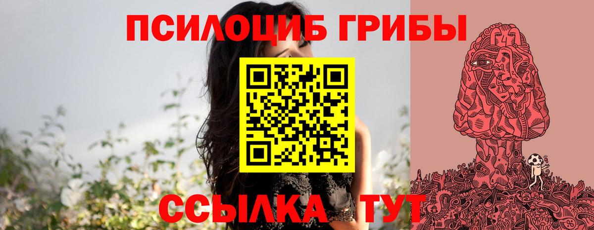 Ессентуки  Псилоцибиновые грибы Psilocybine cubensis  Вход с VPN 